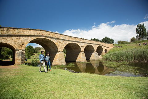 Bonorong Wildlife Park And Richmond Afternoon Tour From Hobart - Accommodation QLD 2