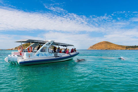 Southern Ocean Adventure From Victor Harbor - Accommodation QLD 1