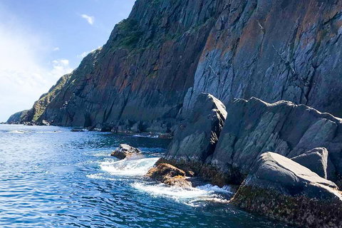 Southern Ocean Adventure From Victor Harbor - Accommodation QLD 3