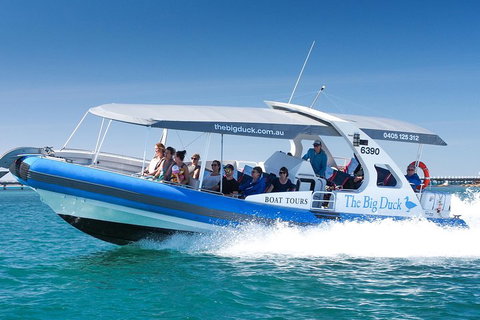Southern Ocean Adventure From Victor Harbor - Accommodation QLD 5