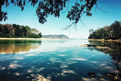 Full-Day Guided Bruny Island Tour From Hobart - Accommodation QLD 1