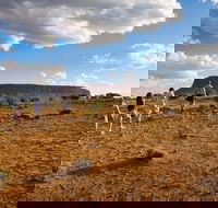 Mount Conner 4WD Small Group Tour from Ayers Rock including Dinner - Accommodation QLD