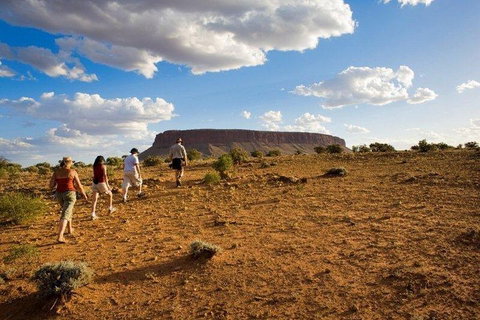 Mount Conner 4WD Small Group Tour From Ayers Rock Including Dinner - Accommodation QLD 0