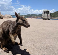 Magnetic Island Tour Maggie Comprehensive - Accommodation QLD