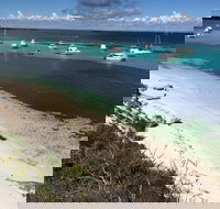 Experience Rottnest with Ferry  Bike Hire from Perth or Fremantle - Accommodation QLD