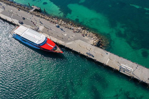 Rottnest Island Round-Trip Ferry From Perth Or Fremantle - Accommodation QLD 1