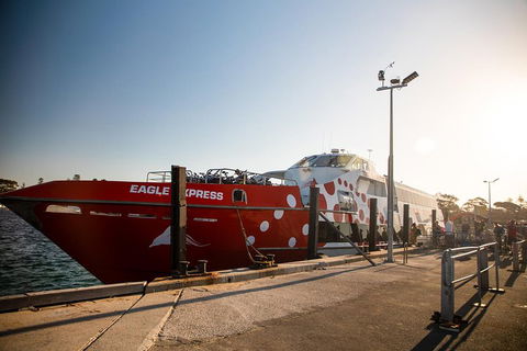 Rottnest Island Round-Trip Ferry From Perth Or Fremantle - Accommodation QLD 2