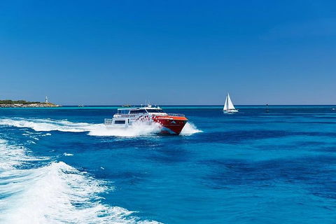 Rottnest Island Round-Trip Ferry From Perth Or Fremantle - Accommodation QLD 4