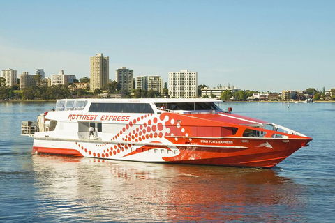 Rottnest Island Round-Trip Ferry From Perth Or Fremantle - Accommodation QLD 5