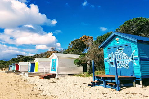 Mornington Peninsula Day Trip From Melbourne - Accommodation QLD 2