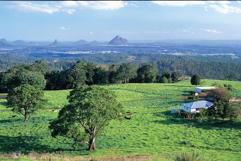 Full Day Sunshine Coast Hinterland Luxury Small Group Tour From Brisbane - Accommodation QLD 2