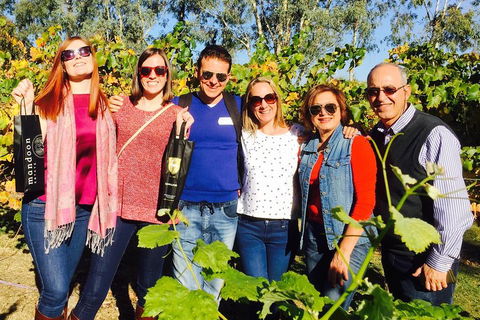 Wine Tasting Day Trip And Swan Valley River Cruise To Perth - Accommodation QLD 2