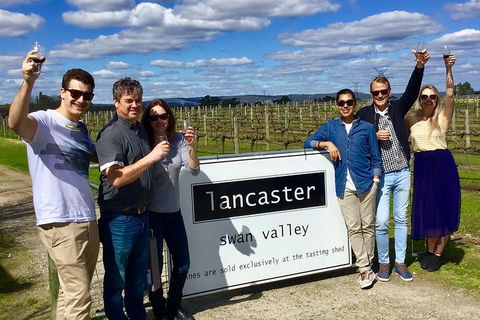 Swan Valley Tour From Perth: Wine, Beer And Chocolate Tastings - Accommodation QLD 1