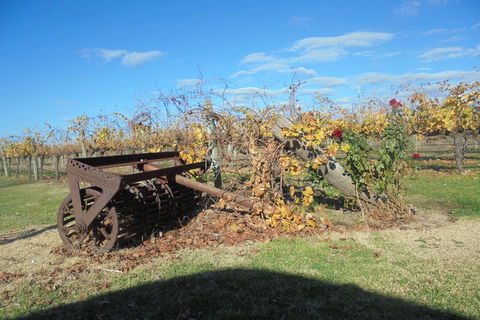 Swan Valley Tour From Perth: Wine, Beer And Chocolate Tastings - Accommodation QLD 3