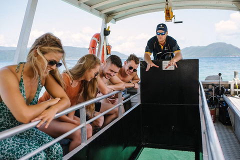 Fitzroy Island Day Trip From Cairns - Accommodation QLD 4