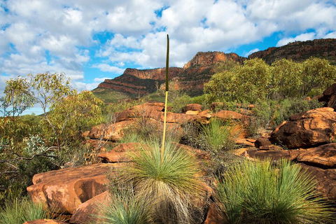 6-Day Eyre Peninsula & Flinders Ranges Adventure Tour - Accommodation QLD 1