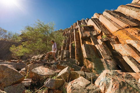 6-Day Eyre Peninsula & Flinders Ranges Adventure Tour - Accommodation QLD 4