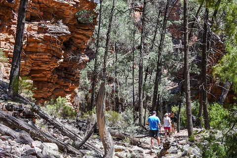 6-Day Eyre Peninsula & Flinders Ranges Adventure Tour - Accommodation QLD 5
