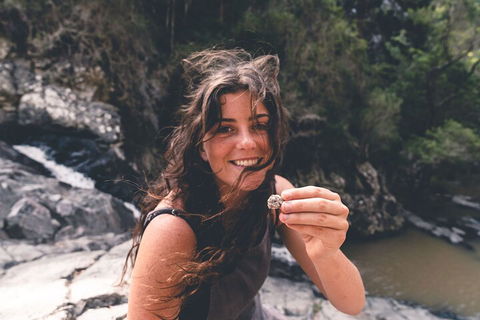 Springbrook AndTamborine Rainforest Tour Incl Natural Bridge And Glow Worm Cave - Accommodation QLD 1