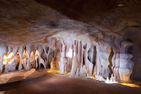 Springbrook AndTamborine Rainforest Tour Incl Natural Bridge And Glow Worm Cave - Accommodation QLD 4