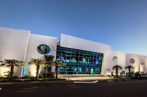 Cairns Aquarium Admission Ticket - Accommodation QLD 4