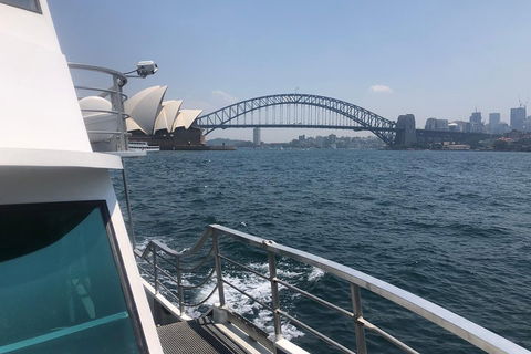 Sydney Harbour Discovery Cruise Including Lunch - Accommodation QLD 3
