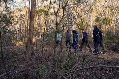 Wild Australian Wildlife 4WD Tour From Sydney - Accommodation QLD 0