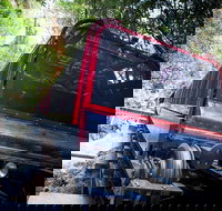 Blue Mountains Hop-on Hop-off Tour with Optional Scenic World Rides - Accommodation QLD