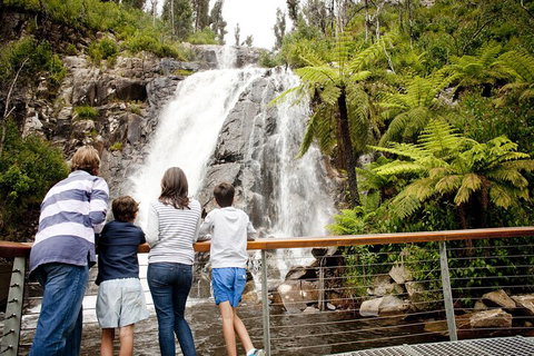 Melbourne Snow Trip To Lake Mountain With Chocolates Visit To A Waterfall - Accommodation QLD 3