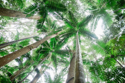 Fraser Explorer K'gari 2-Day Tour - Accommodation QLD 2