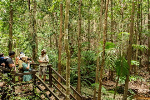Fraser Explorer K'gari 2-Day Tour - Accommodation QLD 5