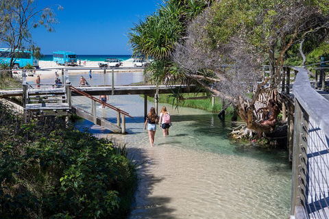 All-Inclusive Fraser Island Day Tour - Accommodation QLD 4