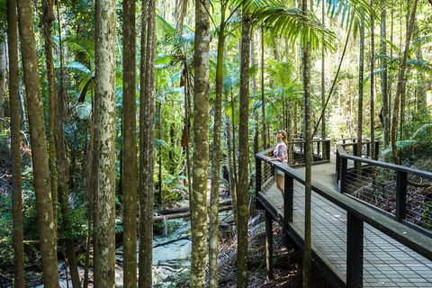 All-Inclusive Fraser Island Day Tour - Accommodation QLD 5