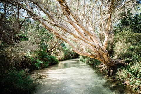 3-Day Fraser Island Resort Package - Accommodation QLD 5