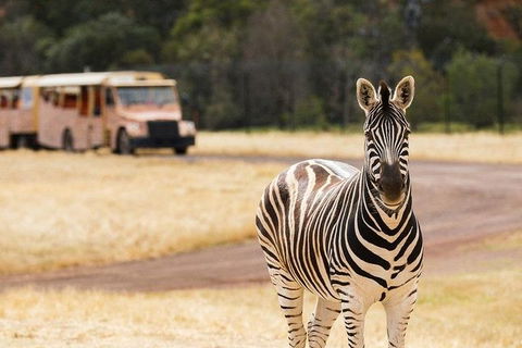 Werribee Open Range Zoo General Admission Ticket - Accommodation QLD 5