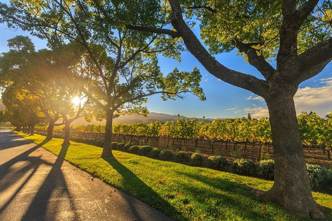 Very Best Of Perth Tour - Wildlife Park & City Highlights Tour - Accommodation QLD 2