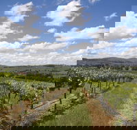 Hunter Valley Wine Tour from Sydney incl Lunch Cheese Chocolate and Distillery - Accommodation QLD
