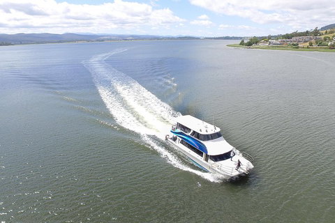2.5 Hour Morning Discovery Cruise Including Sailing Into The Cataract Gorge - Accommodation QLD 2