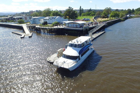 2.5 Hour Morning Discovery Cruise Including Sailing Into The Cataract Gorge - Accommodation QLD 3