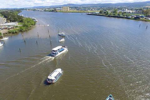 2.5 Hour Morning Discovery Cruise Including Sailing Into The Cataract Gorge - Accommodation QLD 4