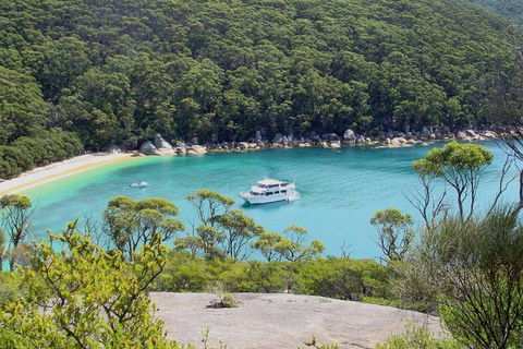 Wilsons Promontory Full Day Cruise - Accommodation QLD 2