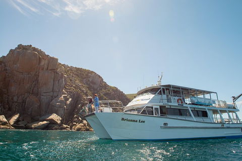 Wilsons Promontory Full Day Cruise - Accommodation QLD 3