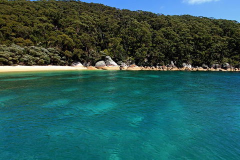 Wilsons Promontory Full Day Cruise - Accommodation QLD 4
