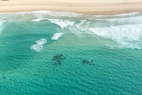 Coastal Helicopter Shared Flight - 20 Minutes - Accommodation QLD 4