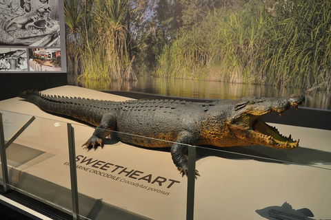 Explore Darwin City Sights Including Key Attractions - Accommodation QLD 2