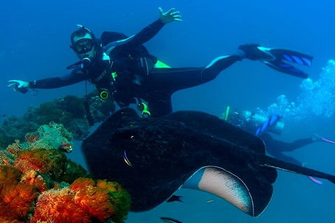 Scuba Dive The S.S. Yongala Wreck On The Great Barrier Reef. - Accommodation QLD 0