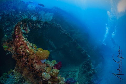 Scuba Dive The S.S. Yongala Wreck On The Great Barrier Reef. - Accommodation QLD 3