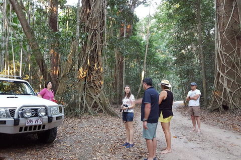 Great Beach Drive 4WD Tour - Private Charter From Noosa To Rainbow Beach - Accommodation QLD 1