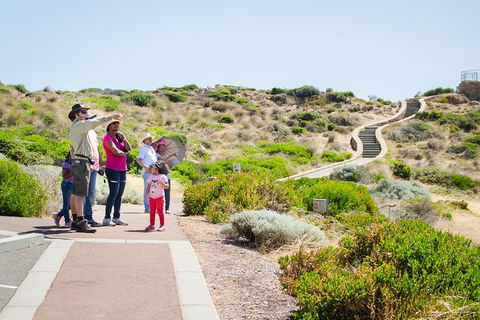 Margaret River Coastal And Wildlife Eco Trip From Busselton Or Dunsborough - Accommodation QLD 0