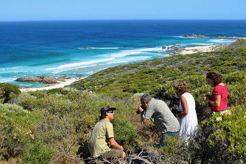 Margaret River Coastal And Wildlife Eco Trip From Busselton Or Dunsborough - Accommodation QLD 2